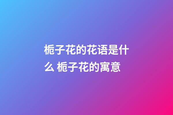 栀子花的花语是什么 栀子花的寓意